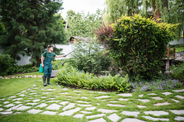 Best Best Pest Control Companies  in Blountstown, FL